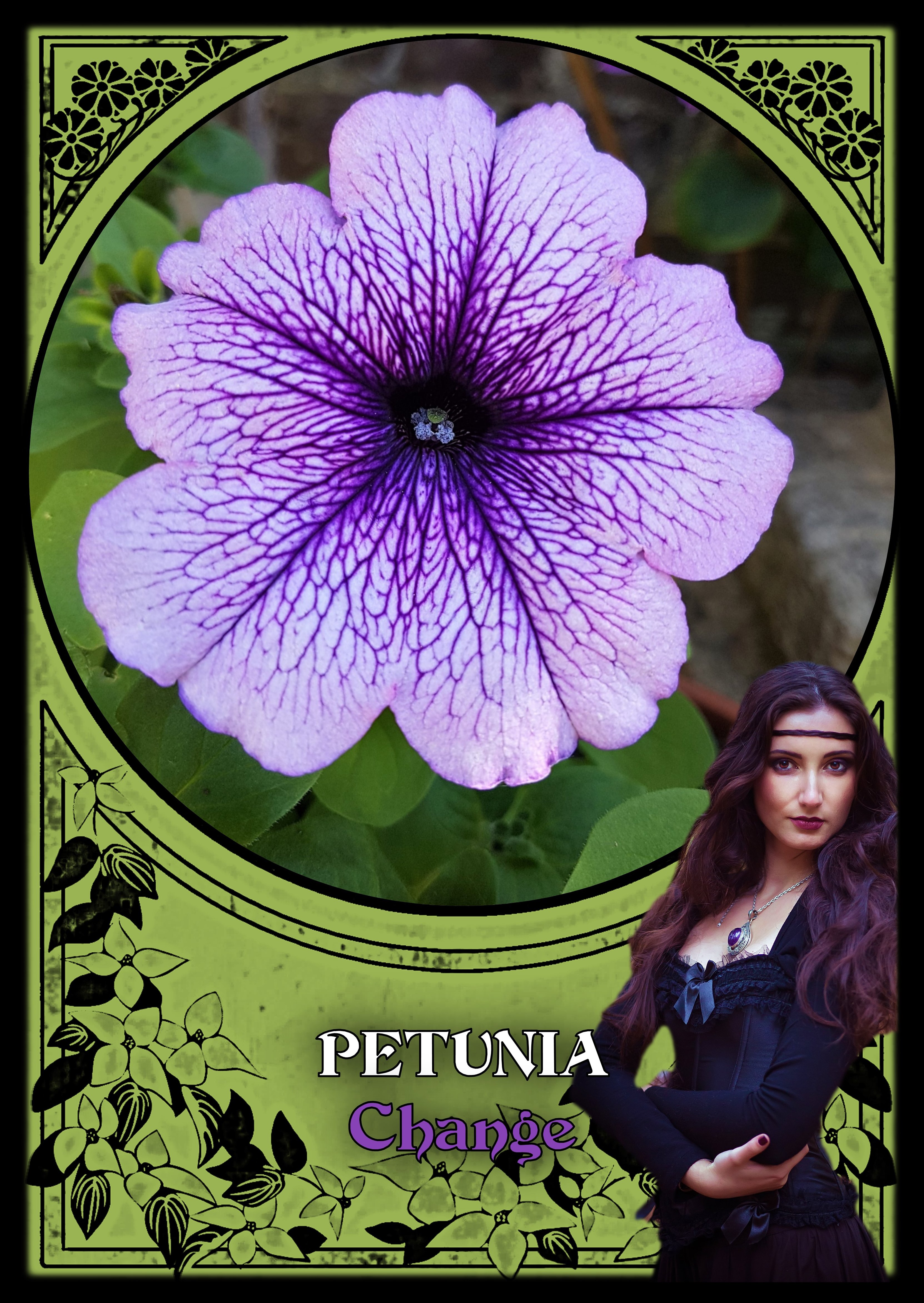 Flower Magic Oracle Cards